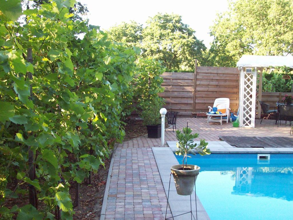 Vakantie Appartementen Engelen Stevensweert 객실 사진